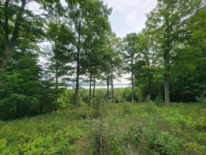 Charlevoix County Whiting Park Picture 9