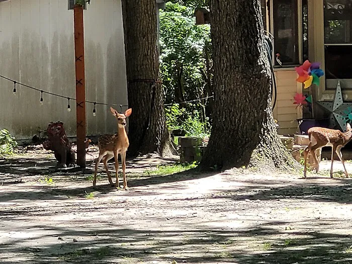 Indian Creek Ranch Camping Picture 7