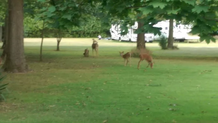 Waupecan Valley Park Picture 2