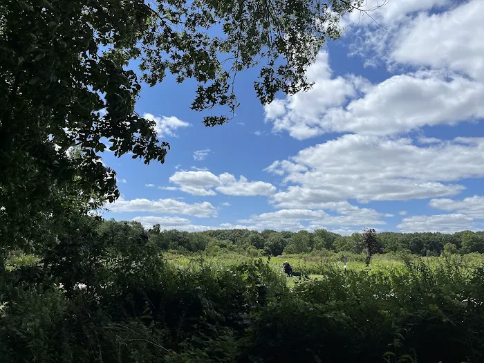 Paul Wolff Campground Picture 7