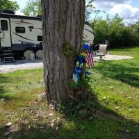 Area 6 Party Cove ico