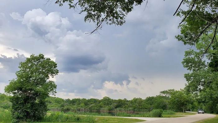 The Last Stop Picture 4