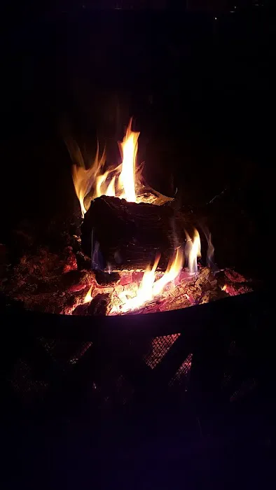 The Last Stop Picture 6