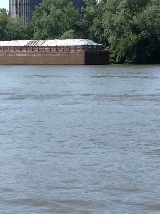 Anchor Inn Marina and Campground Picture 3