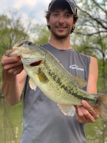 Four Star Campground Picture 4