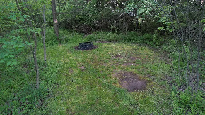 Angel Creek Campground Picture 6