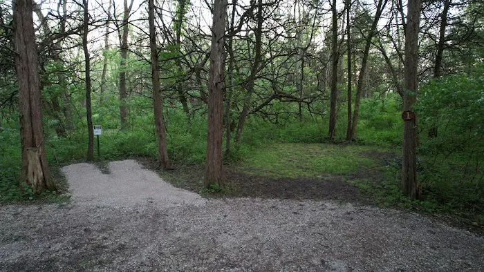 Angel Creek Campground Picture 2