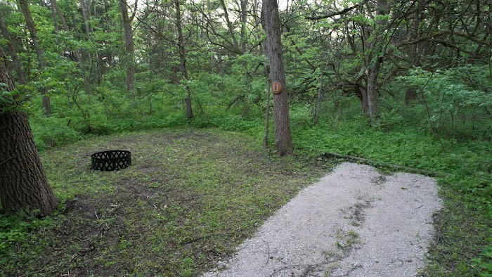 Angel Creek Campground Picture 8