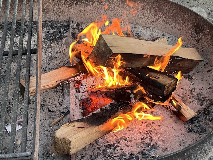 Illinois Beach State Park Campground Picture 6