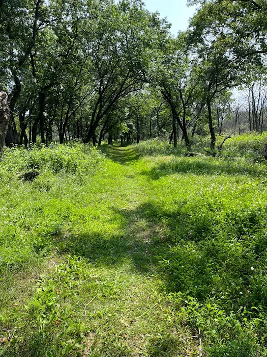 Illinois Beach State Park Campground Picture 5