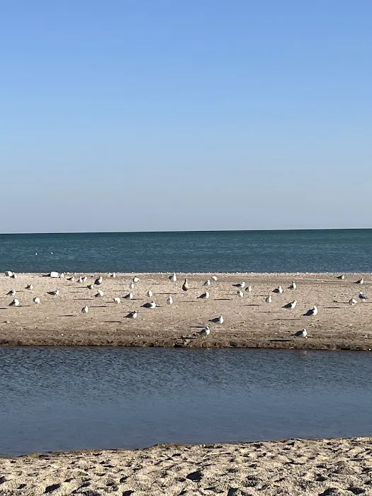 Illinois Beach State Park Campground Picture 7