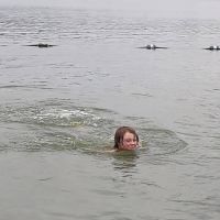 Fish Lake Beach Camping Resort ico