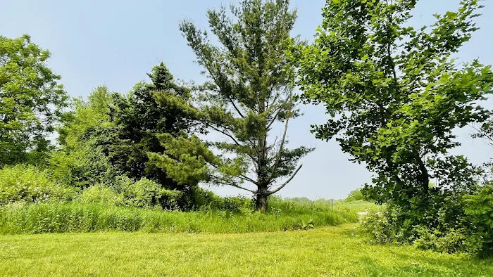 Camp Tomo-Chi-Chi Knolls Picture 3