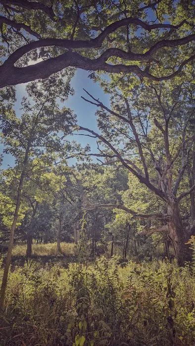 Camp Tomo-Chi-Chi Knolls Picture 7