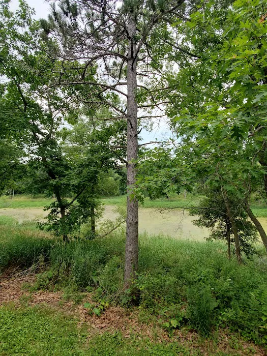 Camp Tomo-Chi-Chi Knolls Picture 2