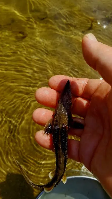 Rainbow Bend Access Site (recgovnpsdata) Picture 1