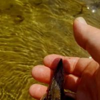 Rainbow Bend Access Site (recgovnpsdata) ico