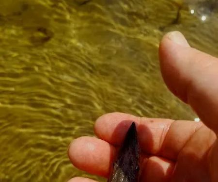 Rainbow Bend Access Site (recgovnpsdata)