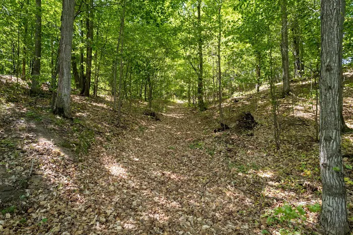 Bear Woods Resort Picture 7