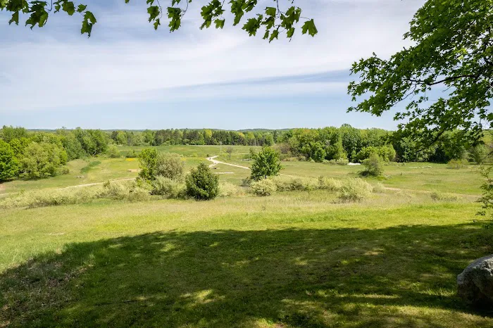 Bear Woods Resort Picture 8