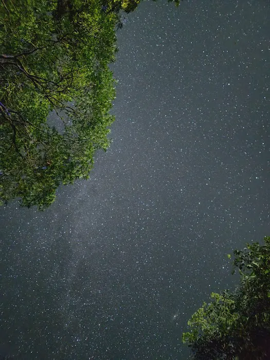 Friends Creek Conservation Area - Group Camping Entrance Picture 4