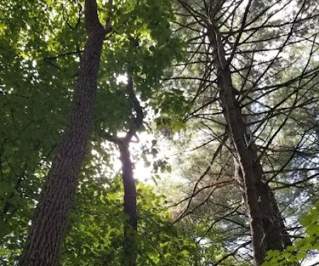 Fox Ridge State Park Campground