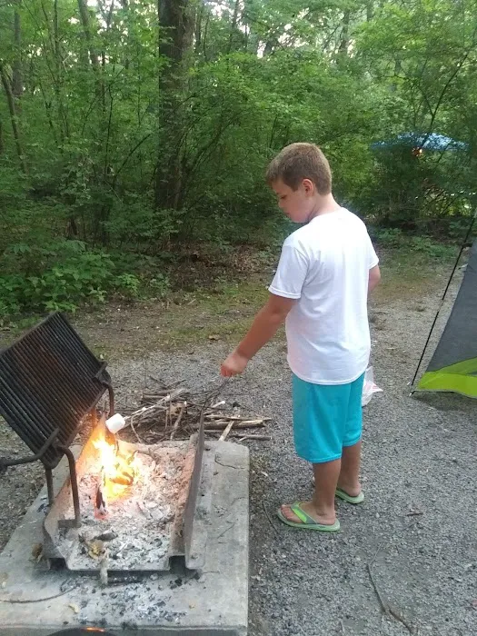 Fox Ridge State Park Campground Picture 10