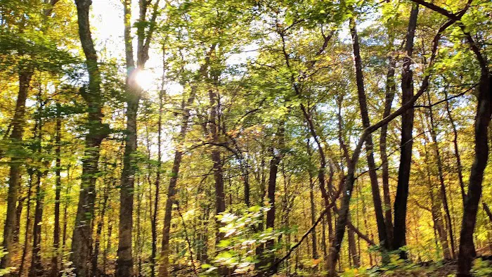 Fox Ridge State Park Campground Picture 7