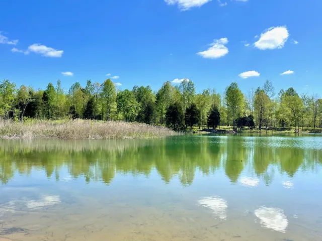 Huggins Haven RV Campground Picture 4