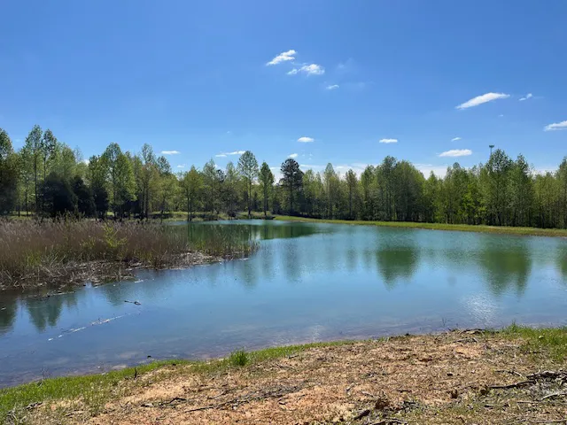 Huggins Haven RV Campground Picture 3