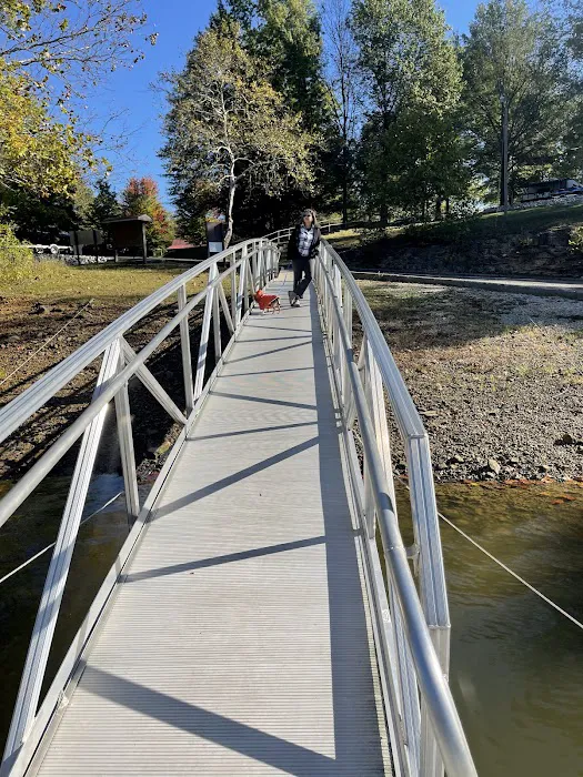 Laurel Branch Campground Picture 1