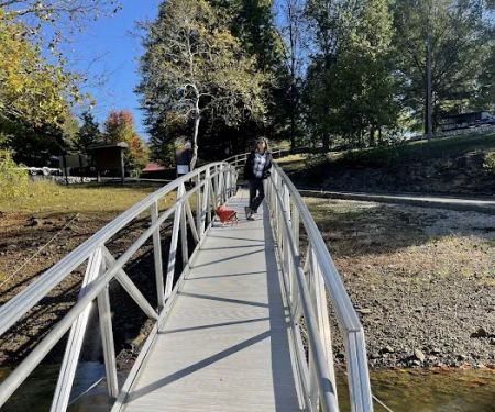 Laurel Branch Campground