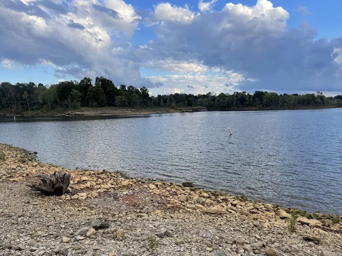 Laurel Branch Campground Picture 4