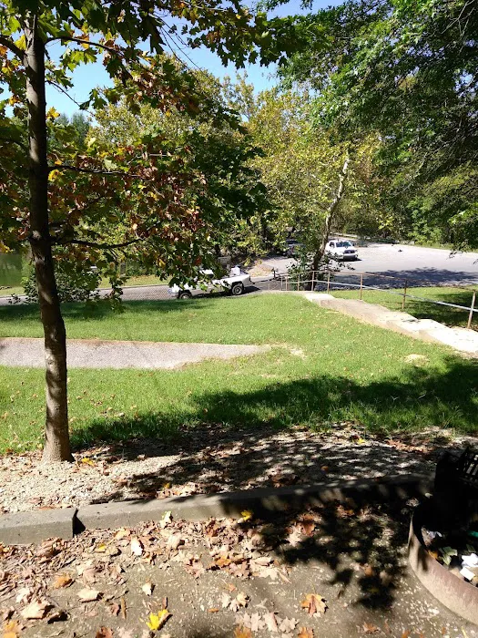 Laurel Branch Campground Picture 10