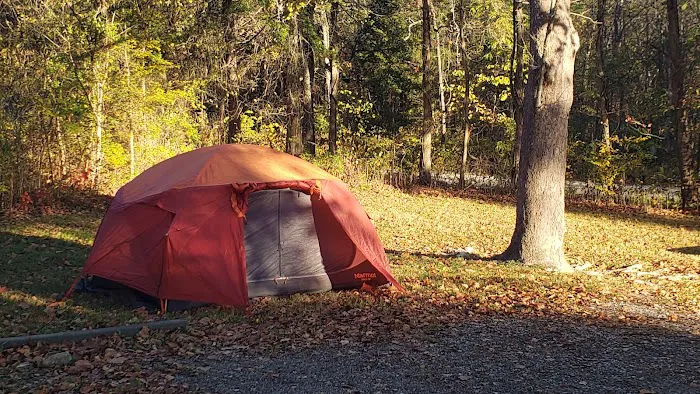 Laurel Branch Campground Picture 7