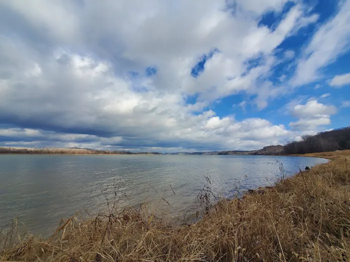 Riverview Park Campground Picture 8