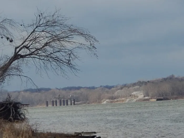 Riverview Park Campground Picture 9