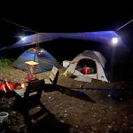 Belle and Beau Acres