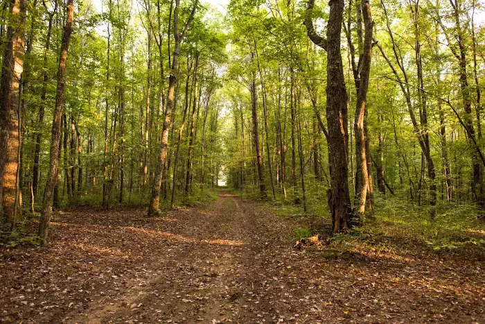 Belle and Beau Acres Picture 10