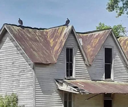 Salt Lick Creek Campground