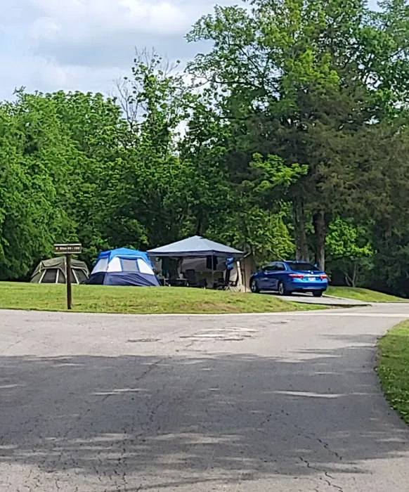 Salt Lick Creek Campground Picture 9
