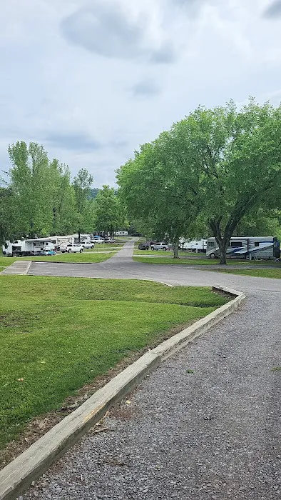 Salt Lick Creek Campground Picture 7
