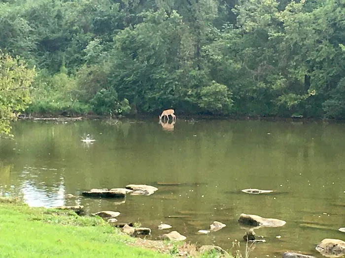 Indian Creek Campground, Nature at its Best! Picture 5