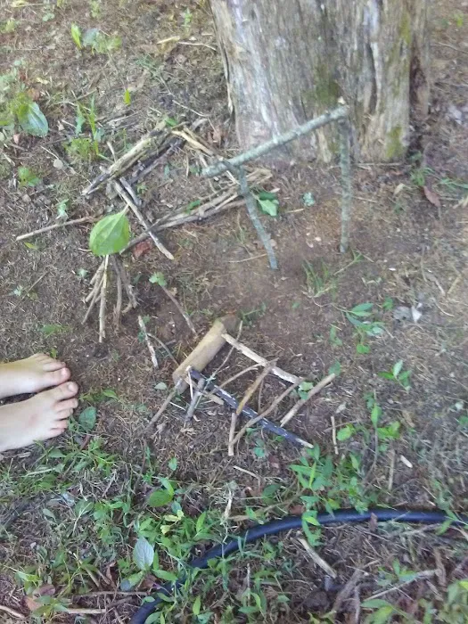Center Hill Campground Picture 1