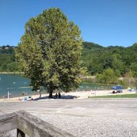 Floating Mill Park ico