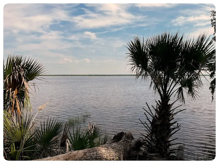 Fort McAllister Campground Picture 5