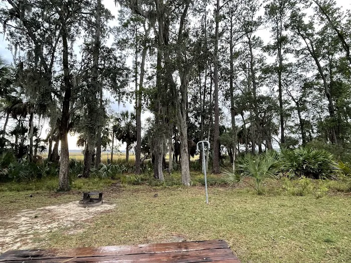 Fort McAllister Campground Picture 7