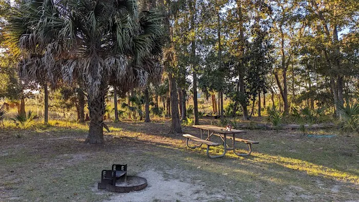 Fort McAllister Campground Picture 8