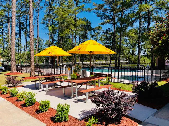 Savannah South KOA Holiday Picture 8
