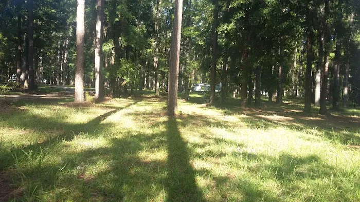 Holbrook Pond Picture 3